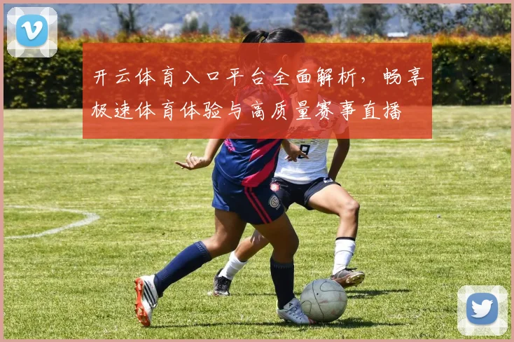开云体育入口平台全面解析，畅享极速体育体验与高质量赛事直播